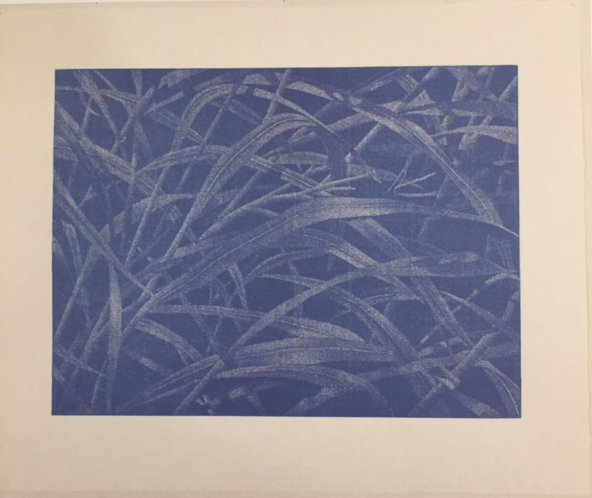 Franz Gertsch, Bagatelle III - Gräser, 2003, Holzschnitt in Blau (Ultramarin). Eine Platte. Handabzug auf Kumohadamashi-Japanpapier von Heizaburo Iwano, 76 x 103 cm / 107 x 130 cm
